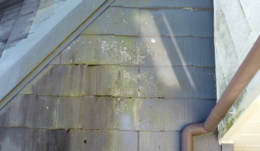 屋根・外壁の苔やカビ...梅雨の時期を迎える前に