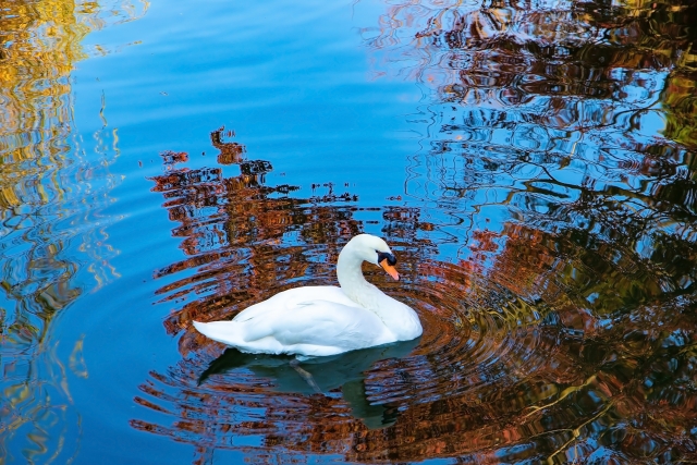 秋は絶好の塗装シーズン！！！