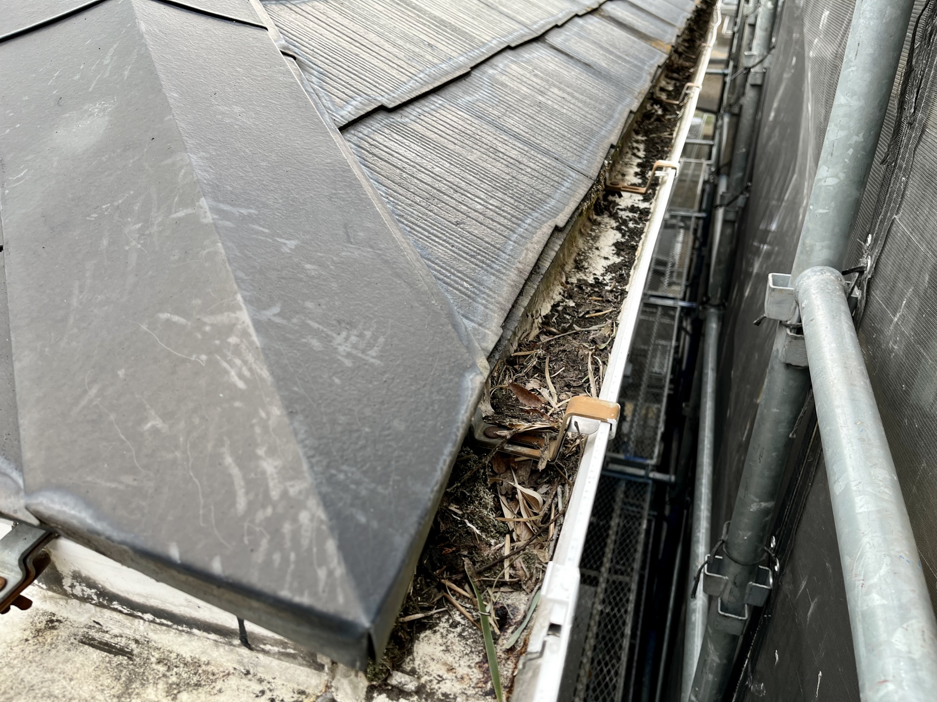 年末大掃除 外まわり点検のチャンス！