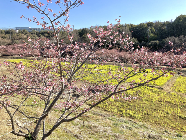 施工事例　まるで新築のようなお家