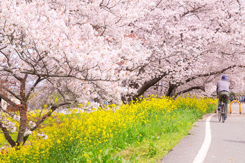 施工事例　軒先の補修・塗装