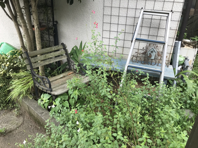 草抜き地獄から解放へ。人工芝で変わるお庭
